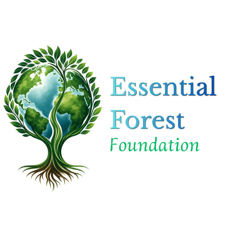 Essential Forest Foundation logo — forest canopy